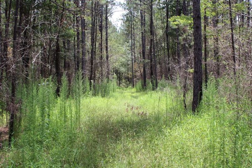 E36C8E45-D231-423C-A374-88E827165DA3_1_105_c