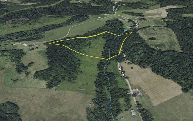 Screenshot 2026-01-15 215336