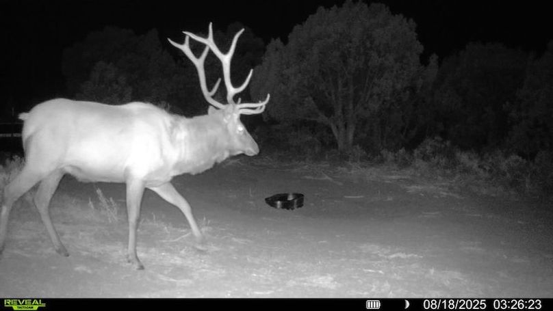 016578004060205-100-3-08182025032623-V-SYFW00005