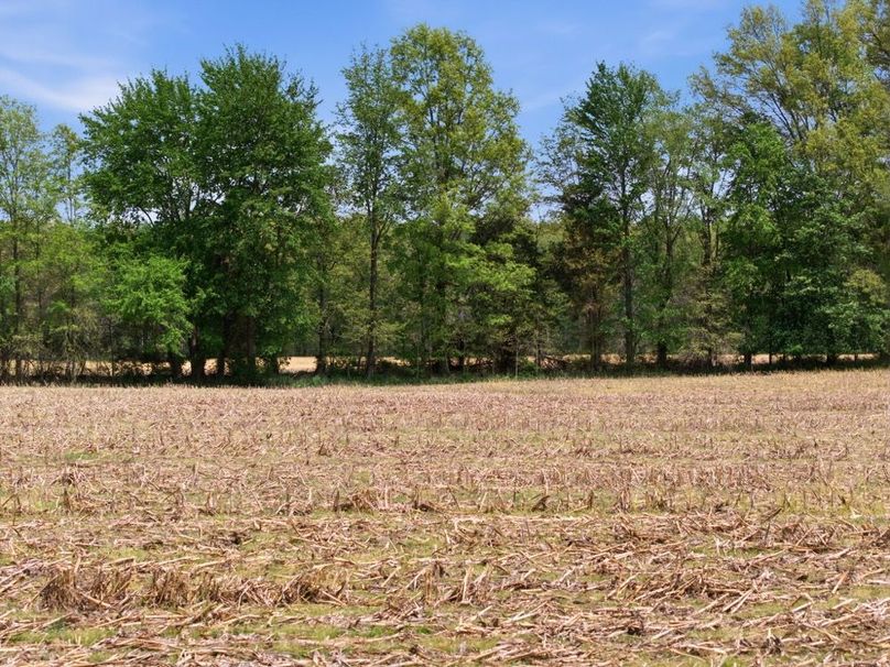 27-web-or-mls-DJI_20260424134341_0243_D