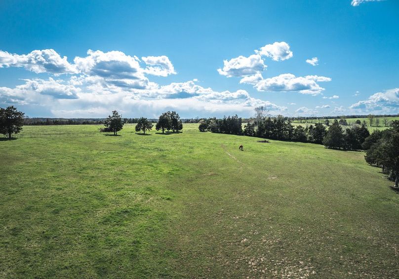 DJI_20250410150051_0100_D