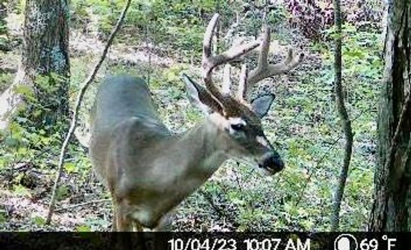 image638338632902820682