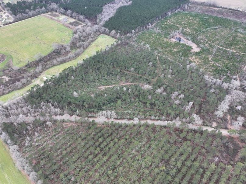 dji_fly_20260217_132900_0117_1771436923436_photo