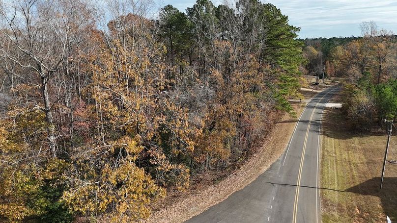 dji_fly_20251119_130008_0008_1763575789996_photo