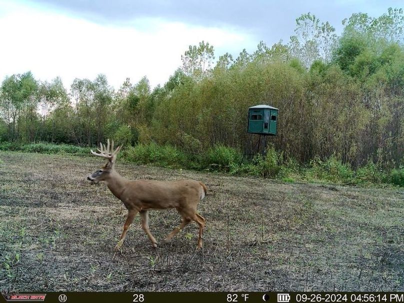 20240926_235931_3BB25C (1)