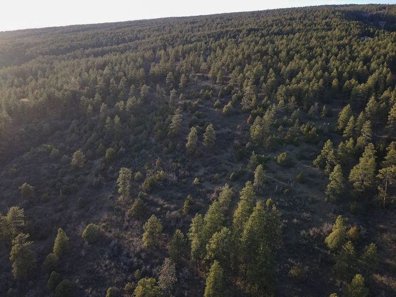 DJI_0044