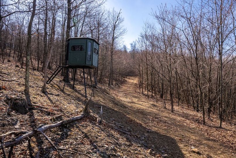 Copy of Hampshire WV 200 Featured_Pro Photo-16