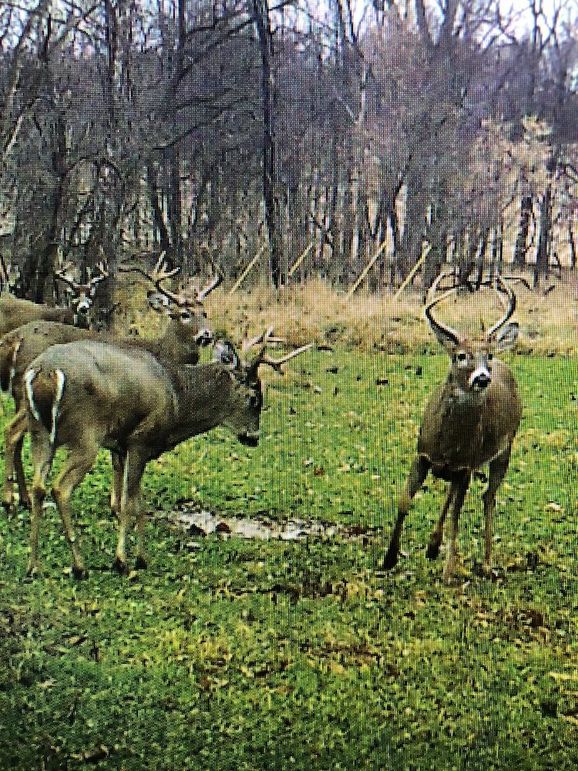 57157363322__6EBCCD77-7FA6-4CE2-AB70-E4F8482A93E8