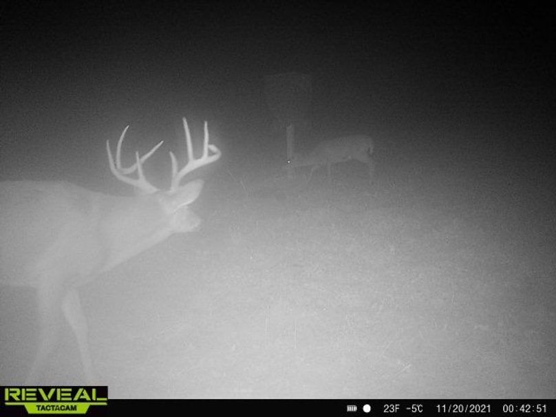 01 Nice big 8 pointer eyeing a doe