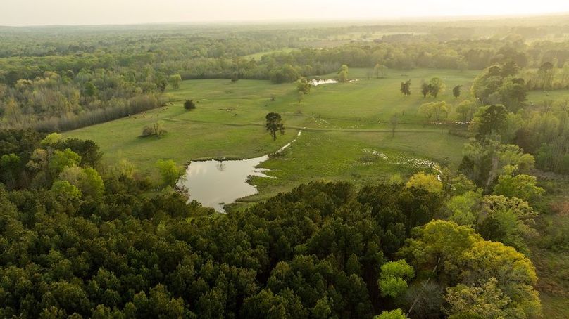 81 Marion TX 143 and 117 Featured_ProPhoto-99