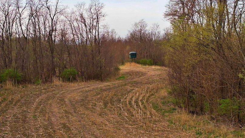 3 DJI_20250331081553_0643_D