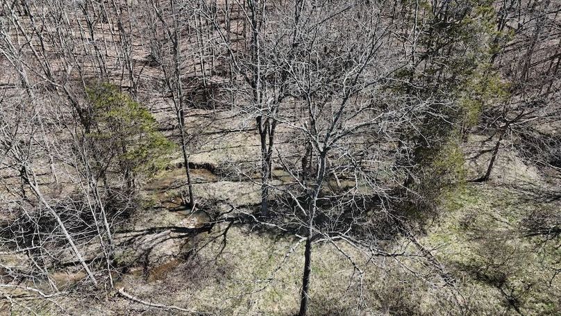 DJI_20260324123738_0141_D