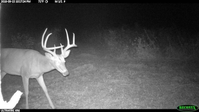 2018-09-15 22-17-24 M 1_1