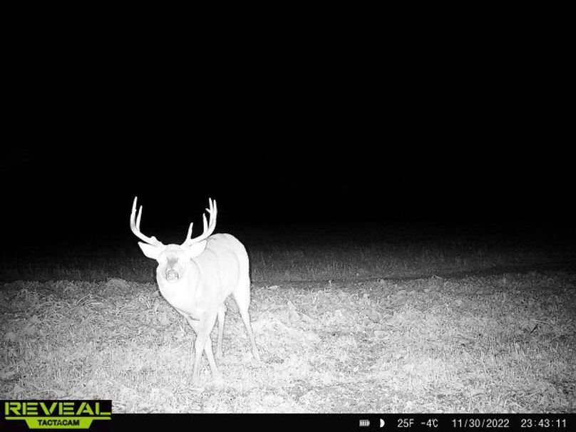 865814048775314-100-4-11302022234310-W1000121