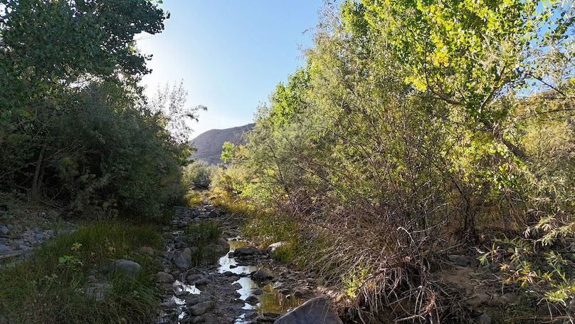 Salina Creek Acreage with Water Rights18