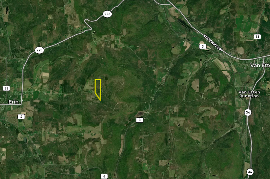 Chemung_31.822_Gutchess_Lumber_Landid_7