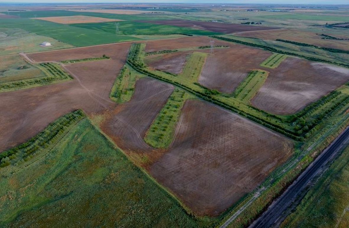 DJI_20250712062845_0242_D-HDR