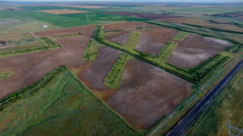 DJI_20250712062845_0242_D-HDR