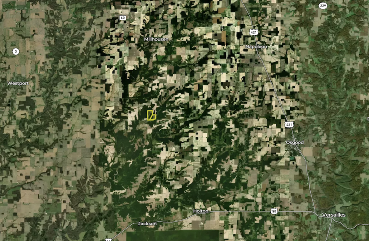 Screenshot 2025-08-07 084427