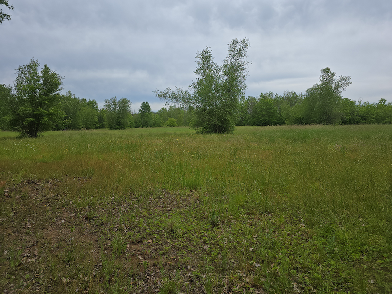 photo_9c4471bf-b985-4335-bf37-8ce69bd31b23