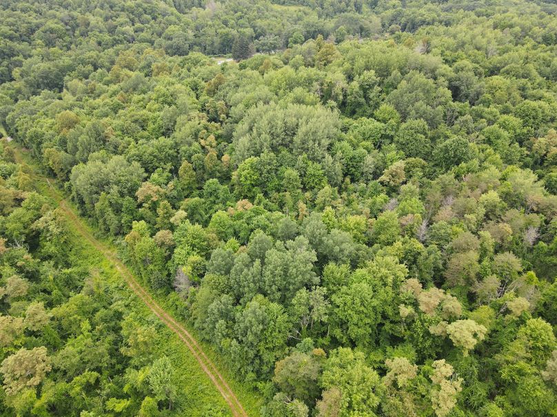 Photo_1080295435_DJI_11_jpg_9202755_0_20227818630_photo_original