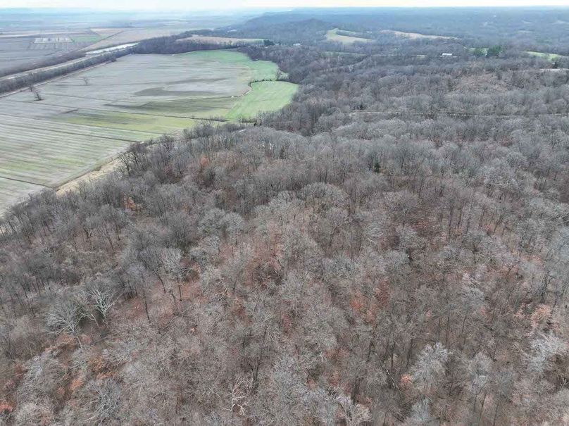 DJI_20251126164406_0305_D