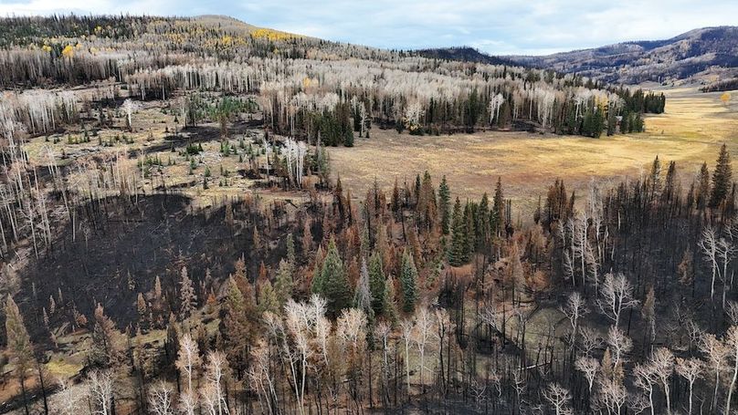 DJI_20250927084637_0084_D