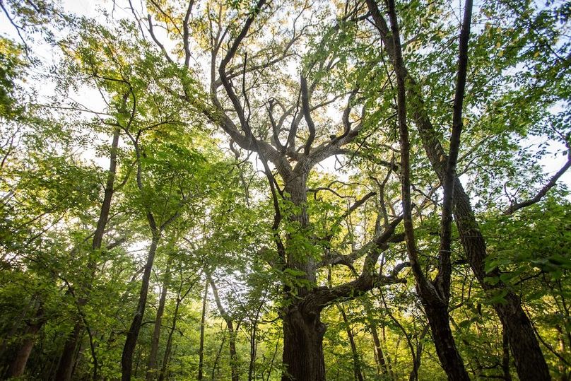 Copy of POTTAWATTAMIE CO IA 311 TRACT 3_19