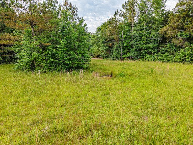 Chickasaw Tract 2-09