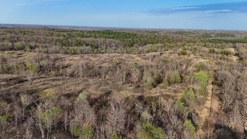 DJI_20250403190945_0095_D