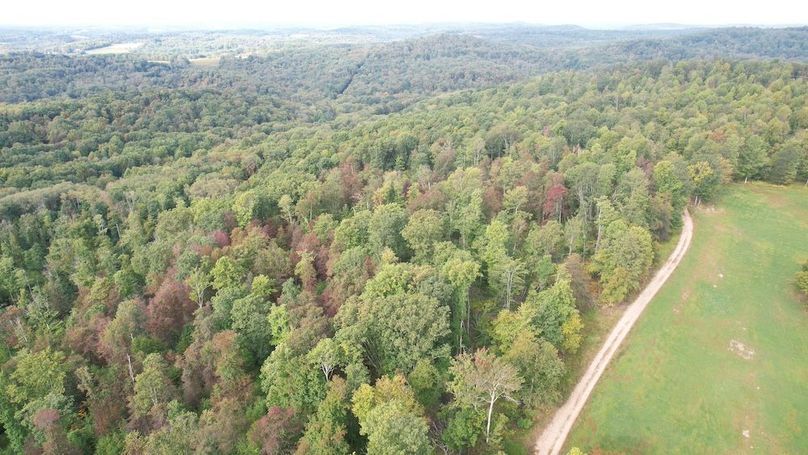 dji_fly_20240919_100948_682_1726755197740_photo