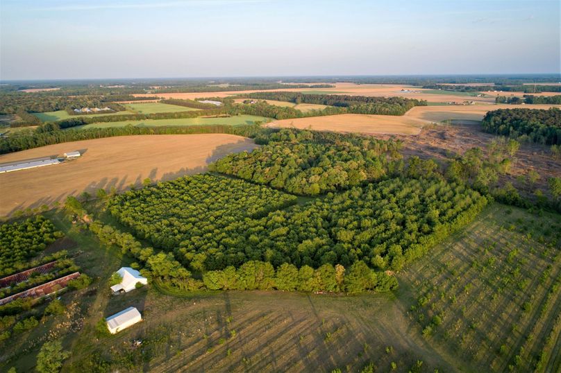 50.38ac_BethlehemRd_Caroline_AERIAL_005