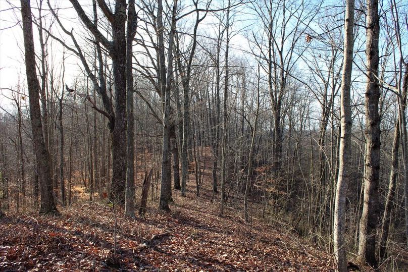 030 high hardwood ridge top near center of property