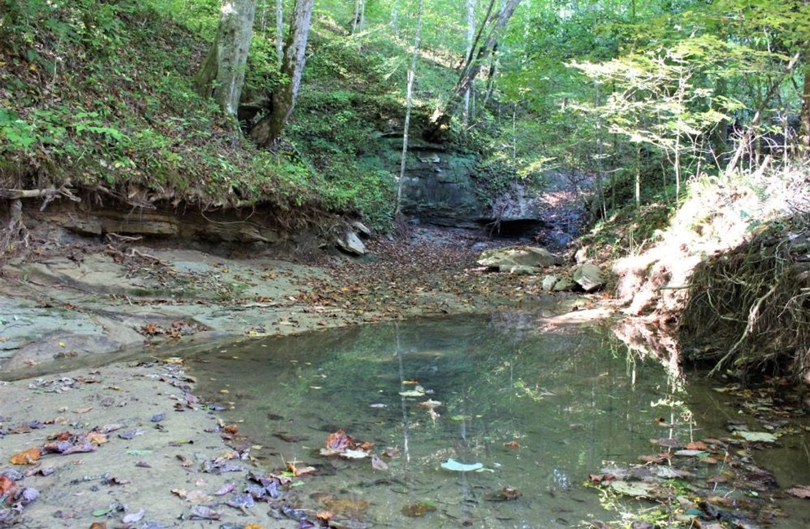 003 Georges Branch creek flowing through the property