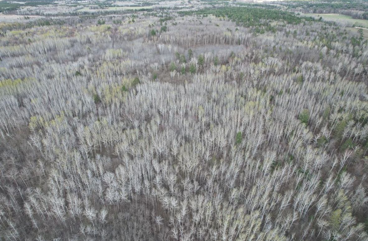 dji_fly_20260509_184350_274_1778370777878_photo