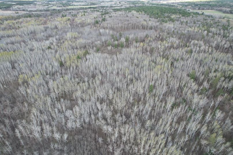 dji_fly_20260509_184350_274_1778370777878_photo