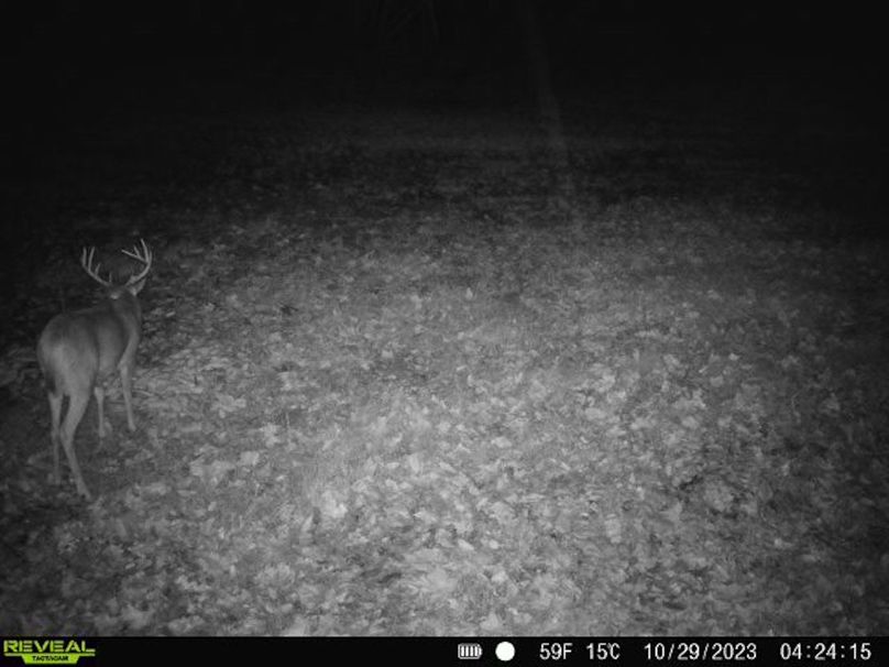 trail cam and harvest16
