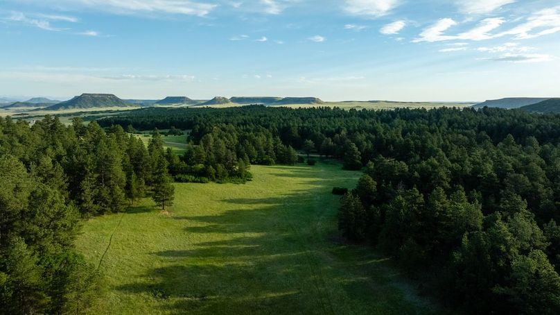 08 Main Meadow - Northern View