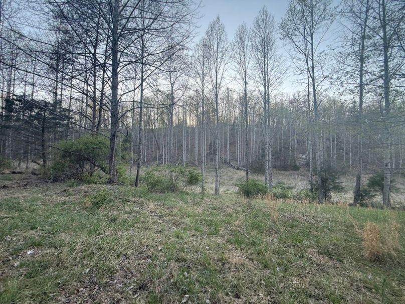 012 transition zone between two fields