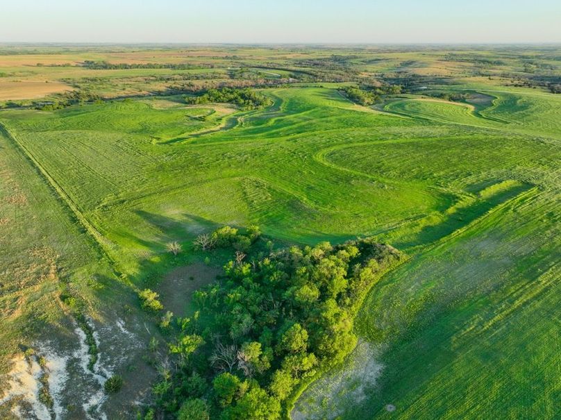 dji_fly_20250512_065156_114_1747051042756_photo