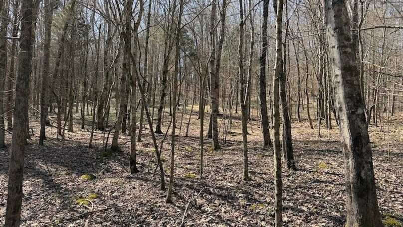 Butler 118 Capella35