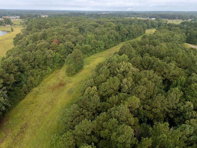 17 Panola Co. 40ac - Rouse-04