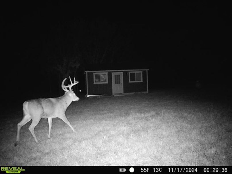 868032068385099-100-4-11172024002936-W1006736