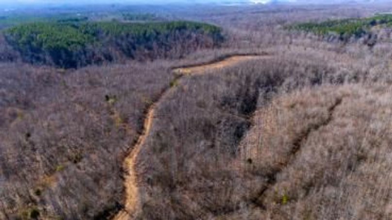 mckinnon tract 14-10