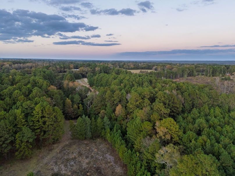 DJI_20251112172448_0012_D