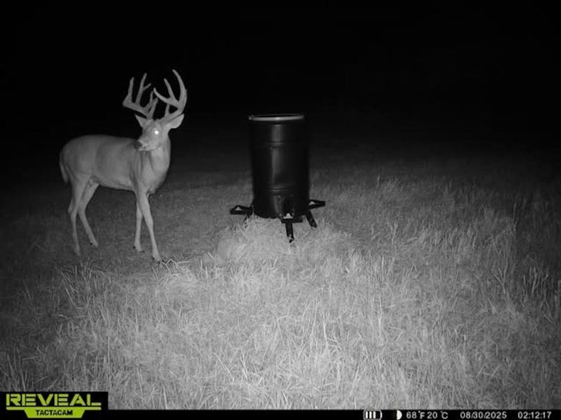 865509050128614-40-4-08302025021226-W1021611