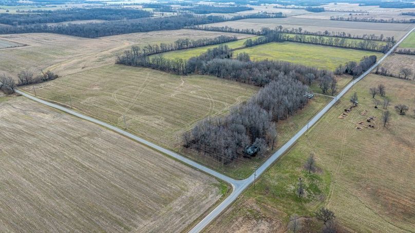 Copy of DJI_20260116095400_0019_D Large