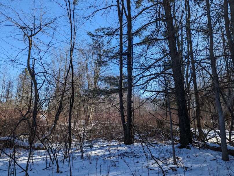 PXL_20230202_170222304