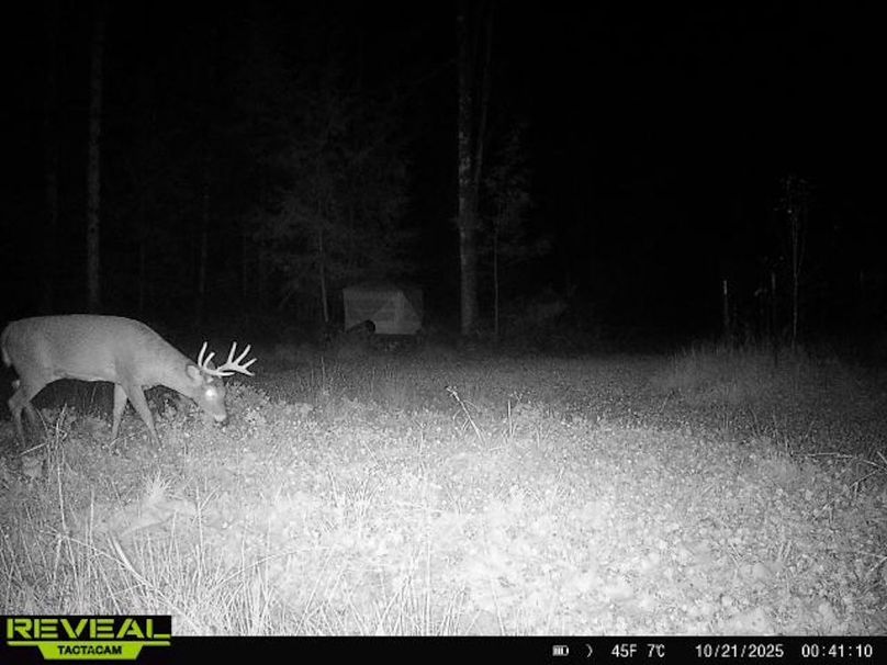 865814048724973-40-2-10212025004110-W1015725