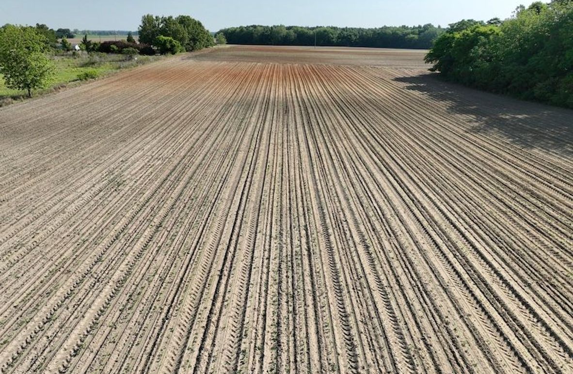 dji_fly_20260424_093516_538_1777039466795_photo